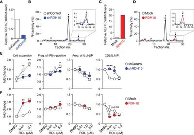 T Cell-Intrinsic Vitamin A Metabolism and Its Signaling Are Targets for Memory T Cell-Based Cancer Immunotherapy